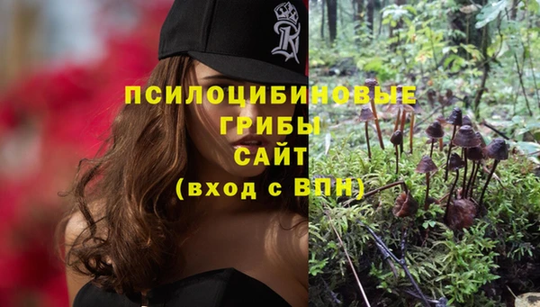 каннабис Абаза